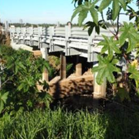 Mt Dee Bridge Assessment
